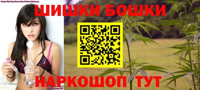 a pvp Гатчина
