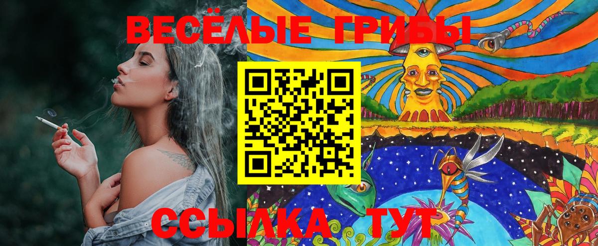 Псилоцибиновые грибы MAGIC MUSHROOMS  Псилоцибиновые грибы ЛСД  Вход с VPN  Выборг 